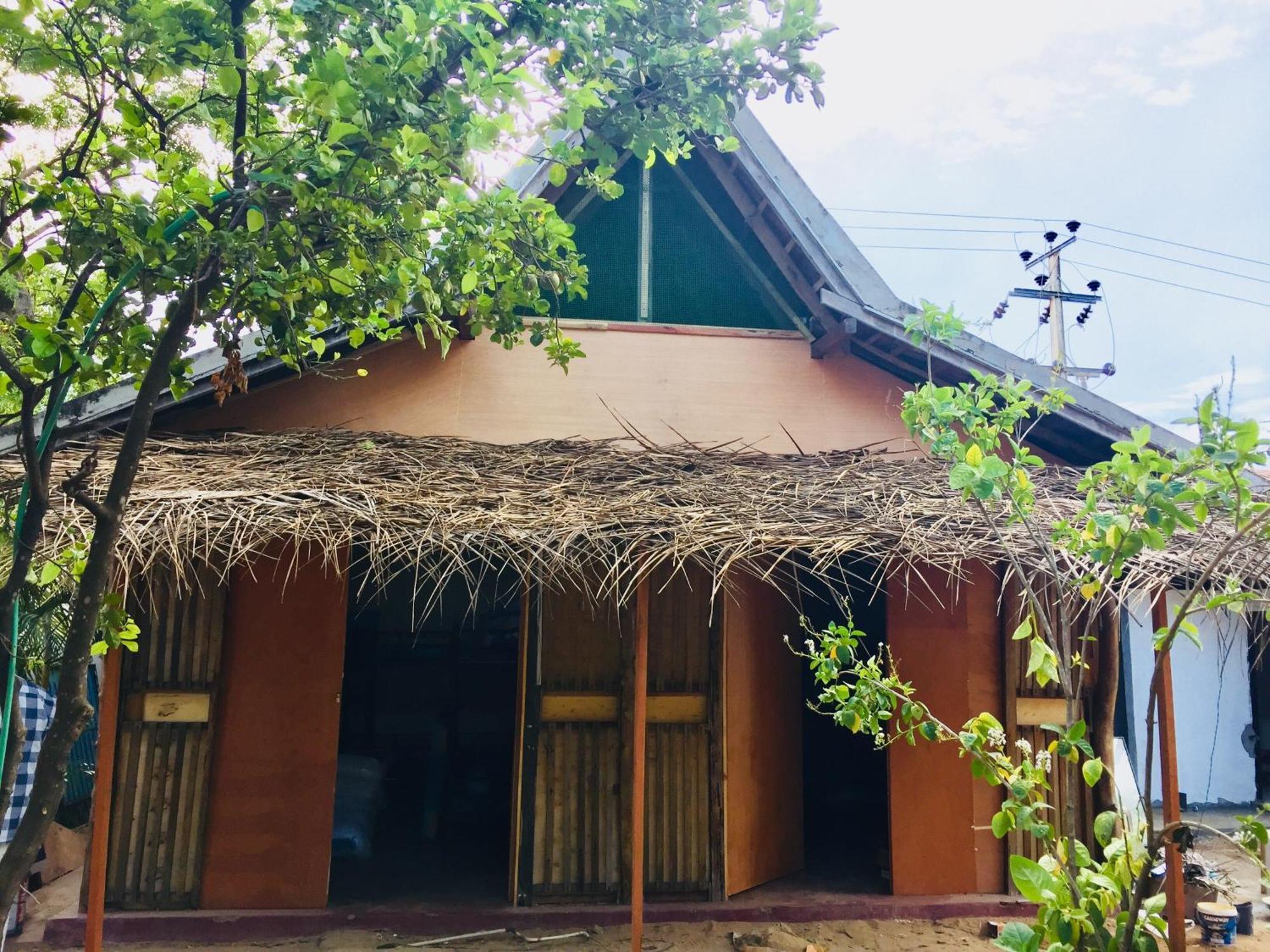 Lemon Tree Hostel Arugam Bay Kültér fotó