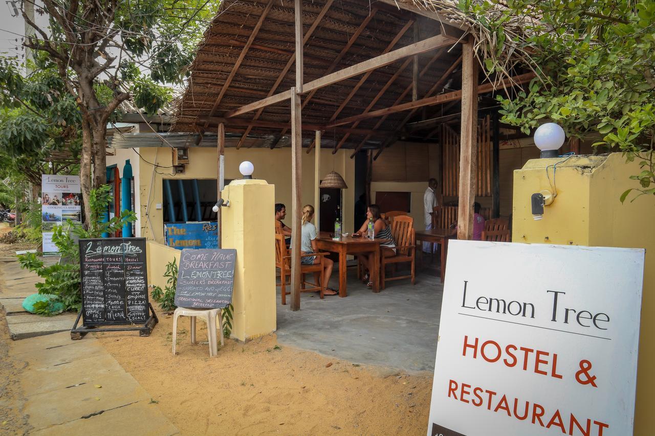 Lemon Tree Hostel Arugam Bay Kültér fotó