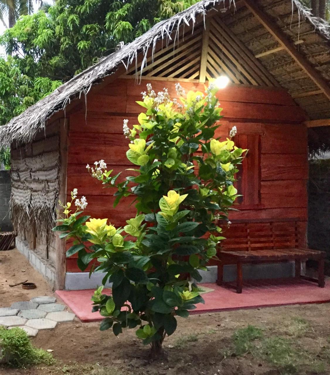 Lemon Tree Hostel Arugam Bay Kültér fotó