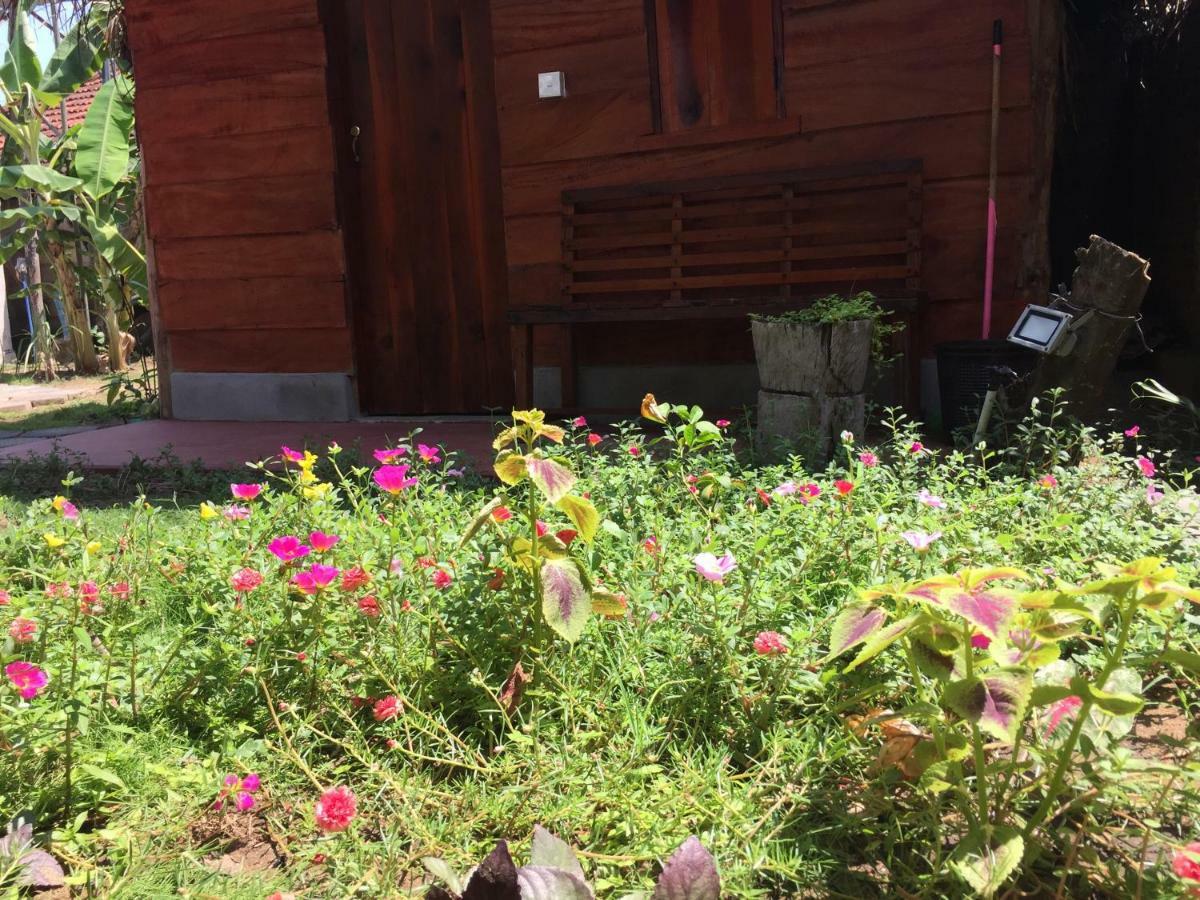 Lemon Tree Hostel Arugam Bay Kültér fotó